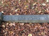 image of grave number 923243